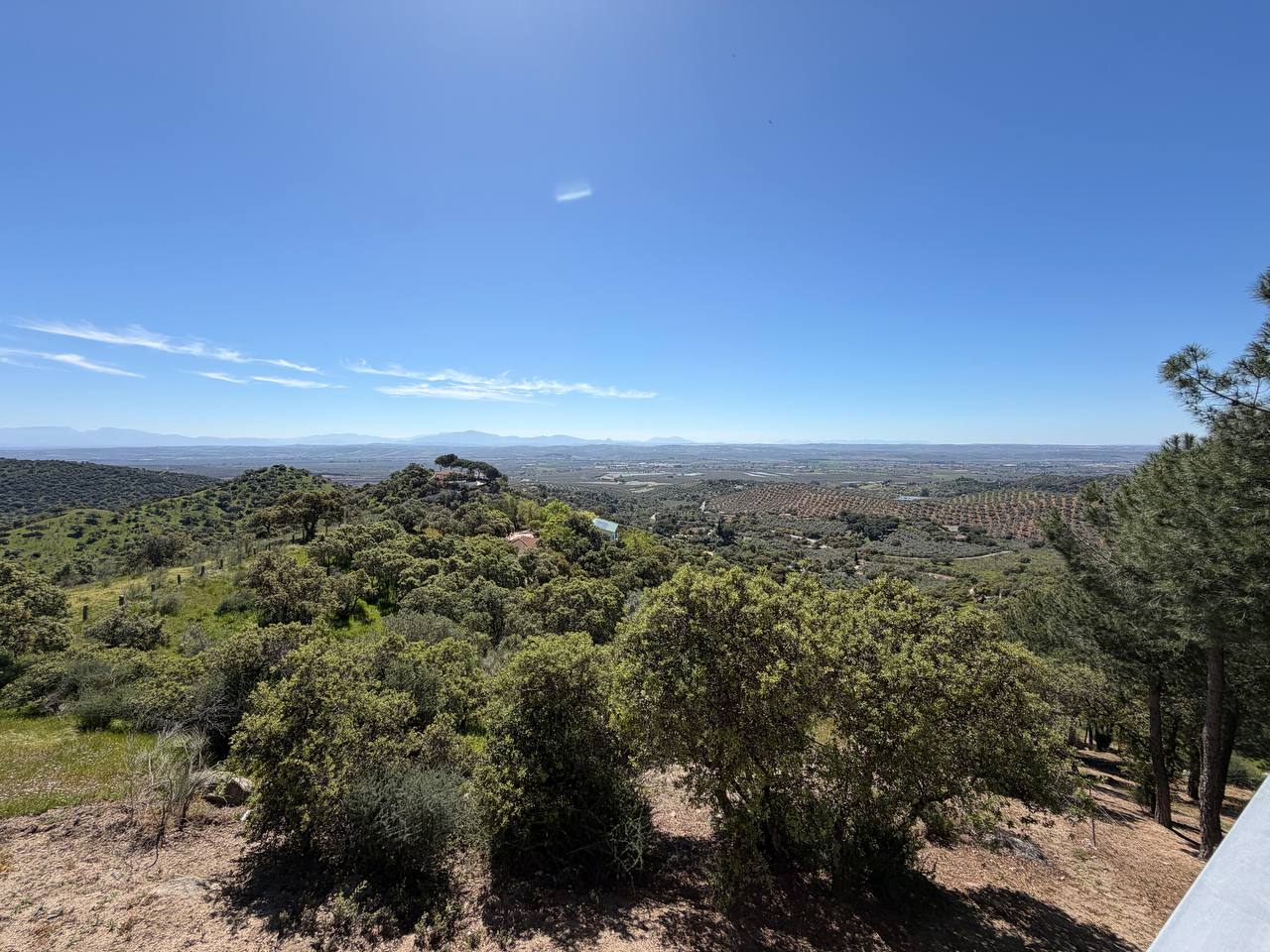 Viña en venta en Andújar