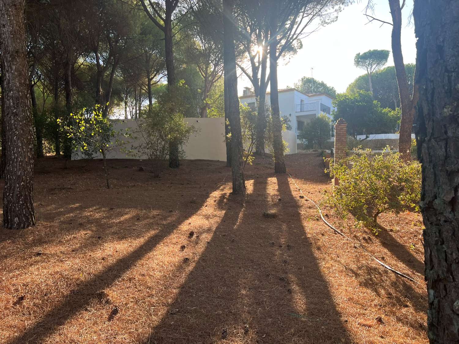 VIÑA EN VENTA ZONA ALCAPARROSA