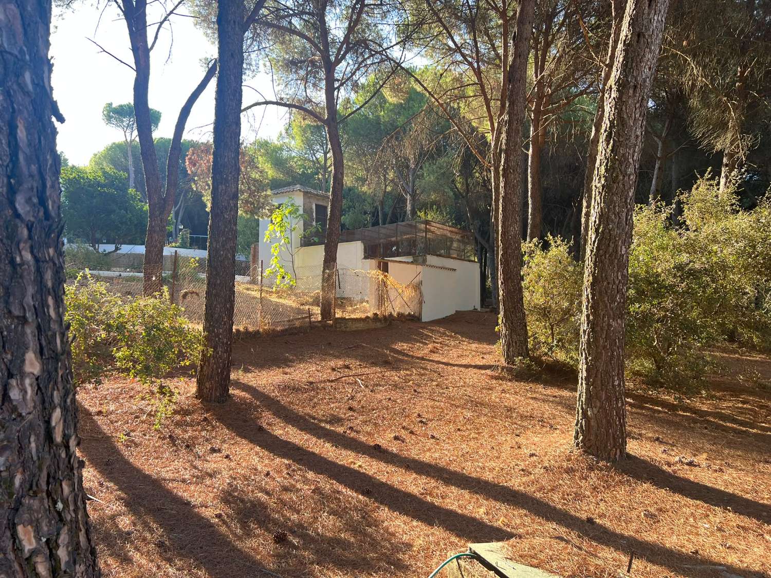 VIÑA EN VENTA ZONA ALCAPARROSA