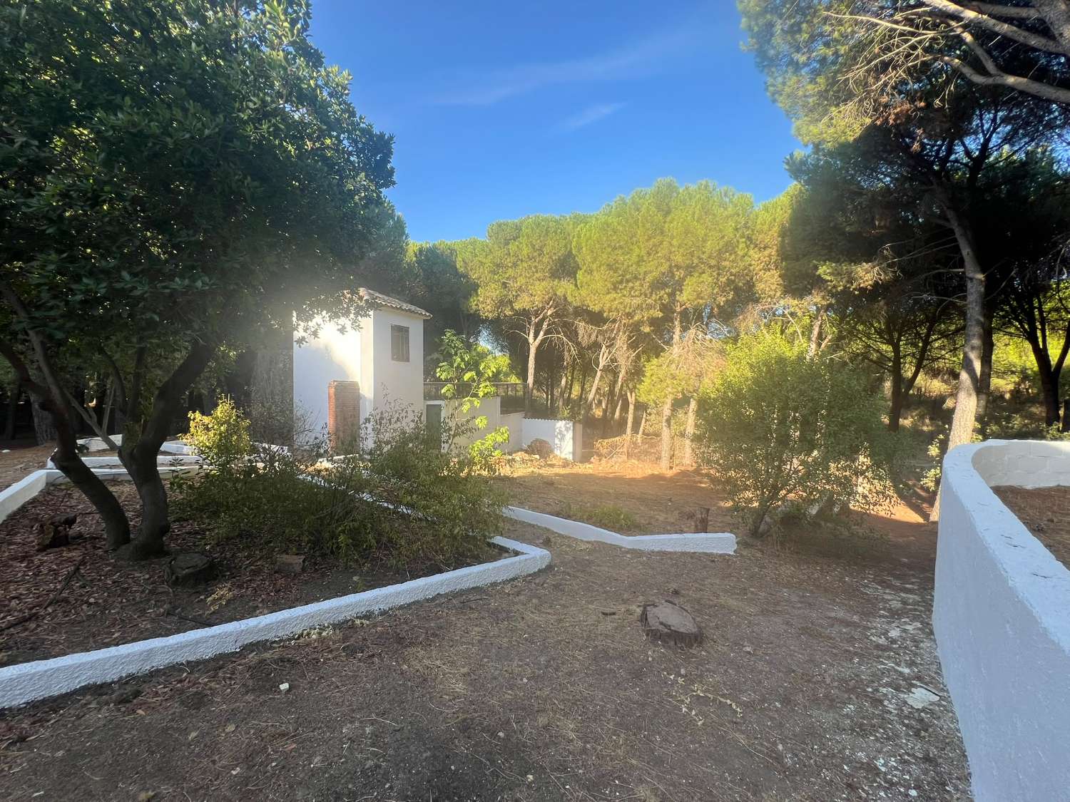 VIÑA EN VENTA ZONA ALCAPARROSA