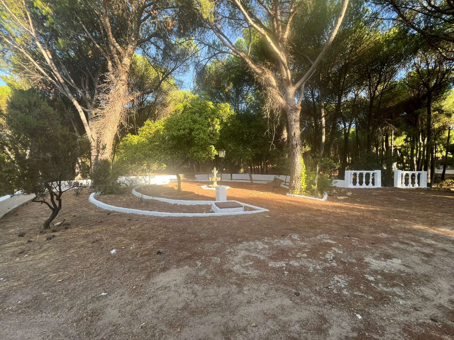 VIÑA EN VENTA ZONA ALCAPARROSA