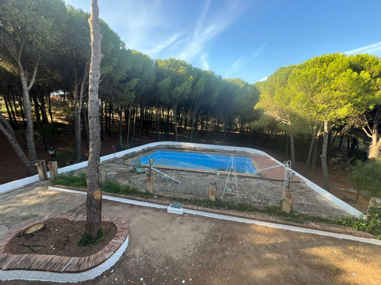 VIÑA EN VENTA ZONA ALCAPARROSA
