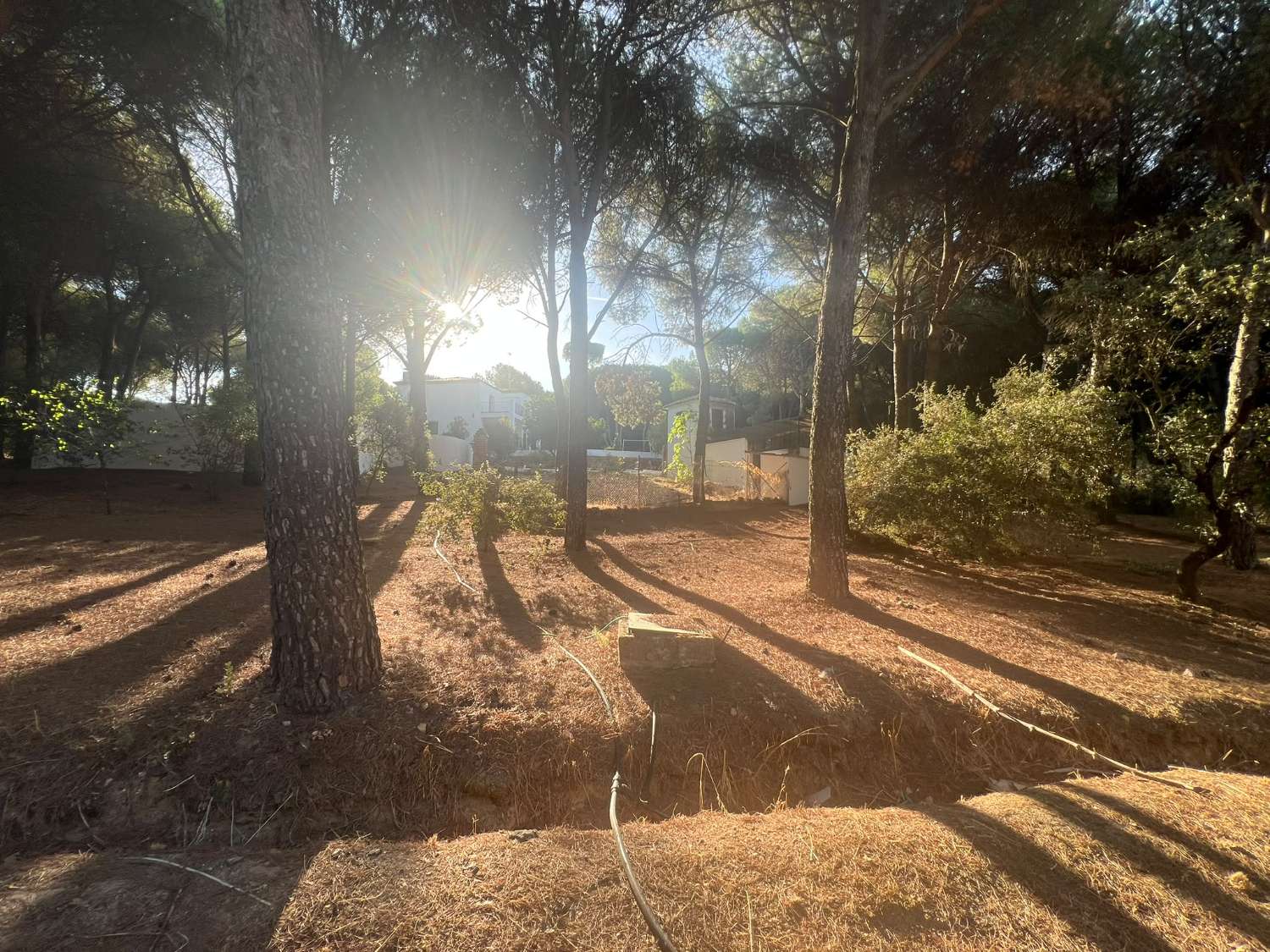 VIÑA EN VENTA ZONA ALCAPARROSA