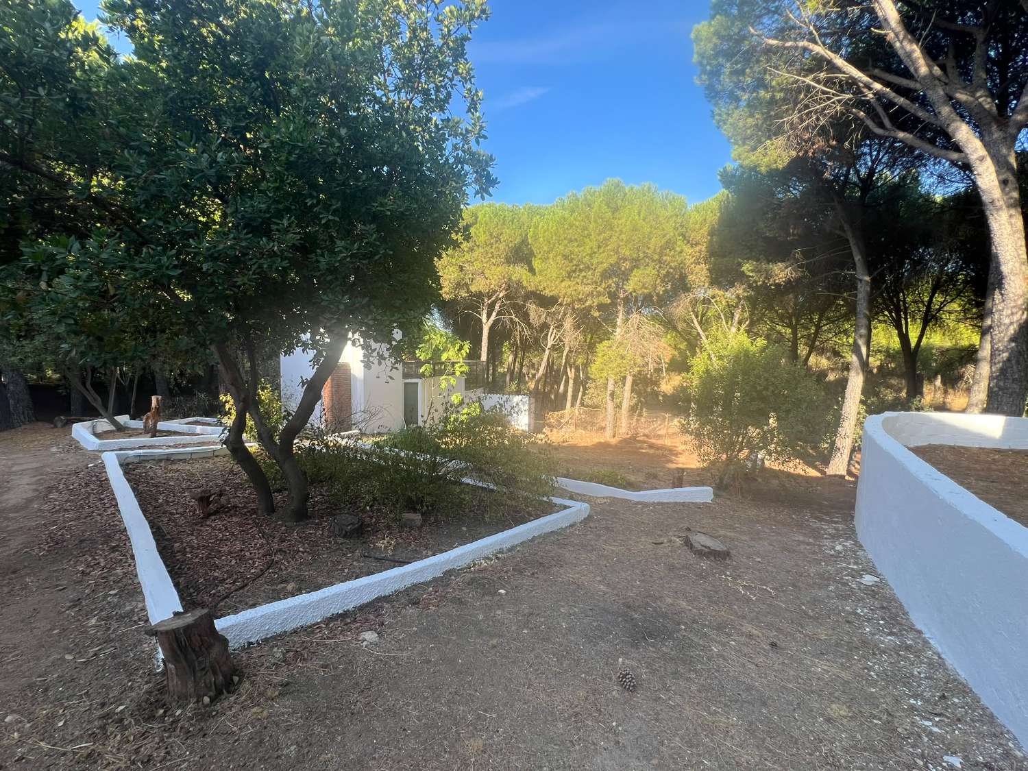 VIÑA EN VENTA ZONA ALCAPARROSA