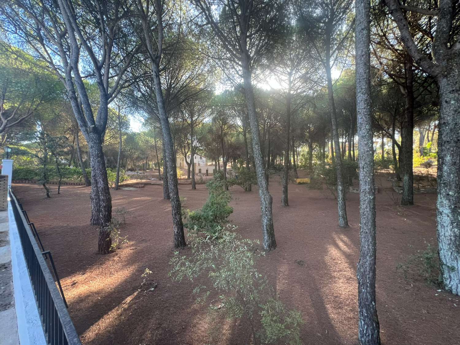 VIÑA EN VENTA ZONA ALCAPARROSA