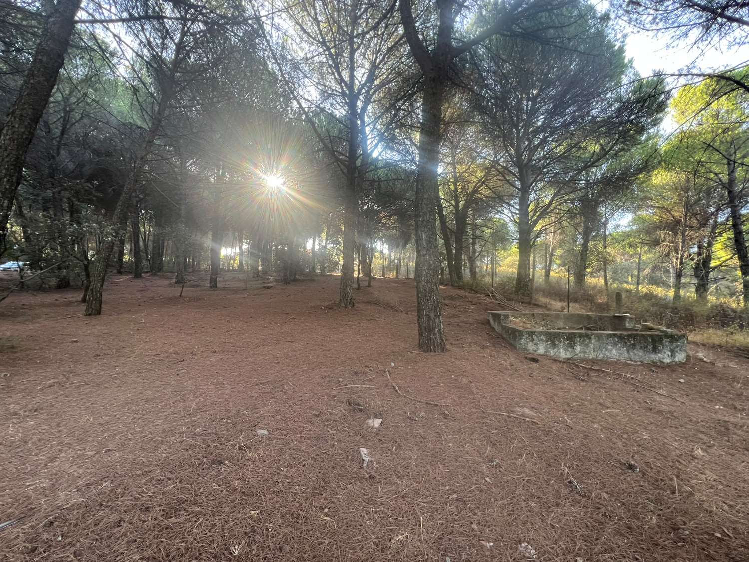 VIÑA EN VENTA ZONA ALCAPARROSA