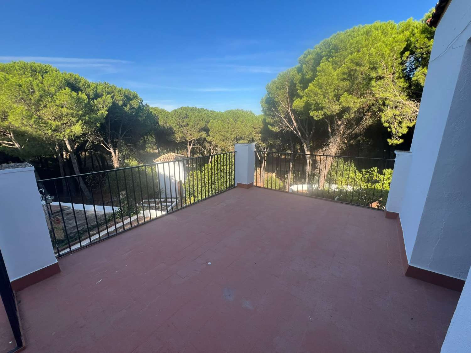 VIÑA EN VENTA ZONA ALCAPARROSA