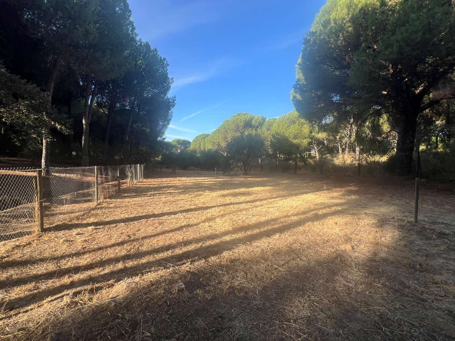 VIÑA EN VENTA ZONA ALCAPARROSA