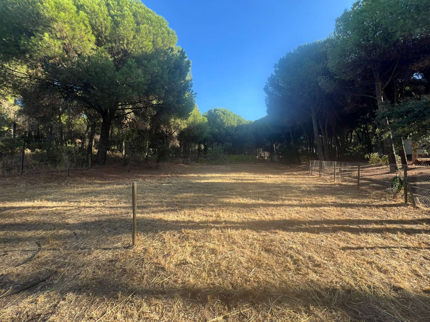 VIÑA EN VENTA ZONA ALCAPARROSA