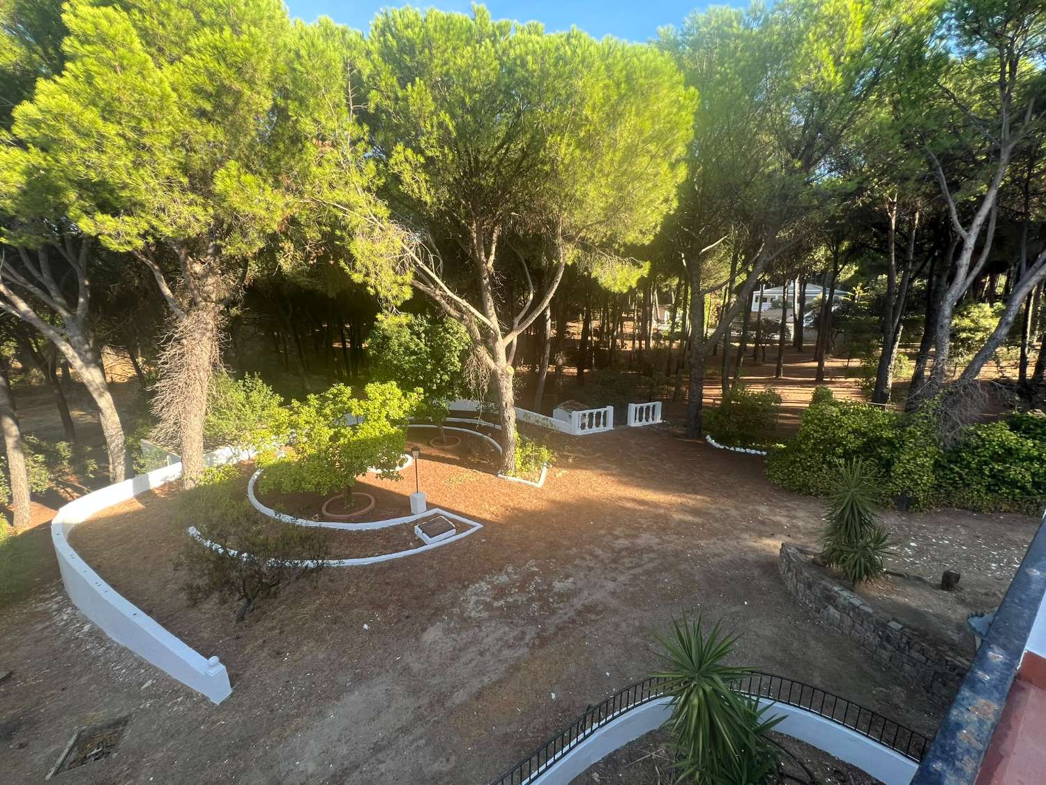 VIÑA EN VENTA ZONA ALCAPARROSA