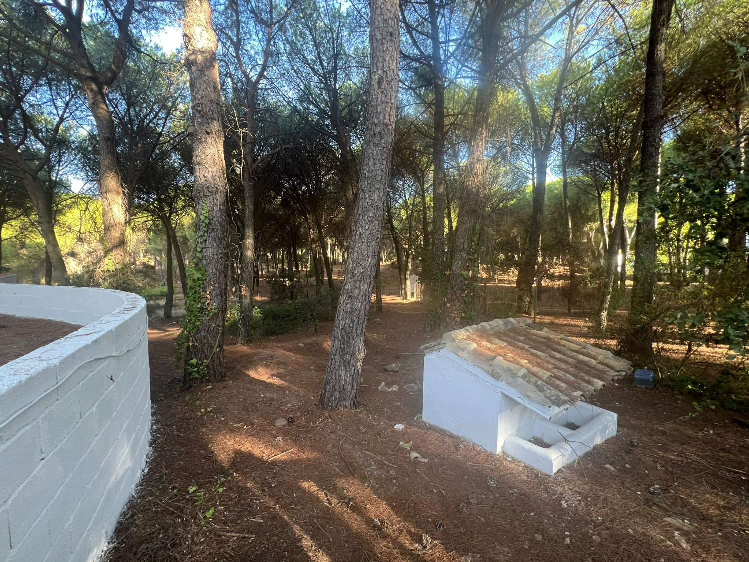 VIÑA EN VENTA ZONA ALCAPARROSA