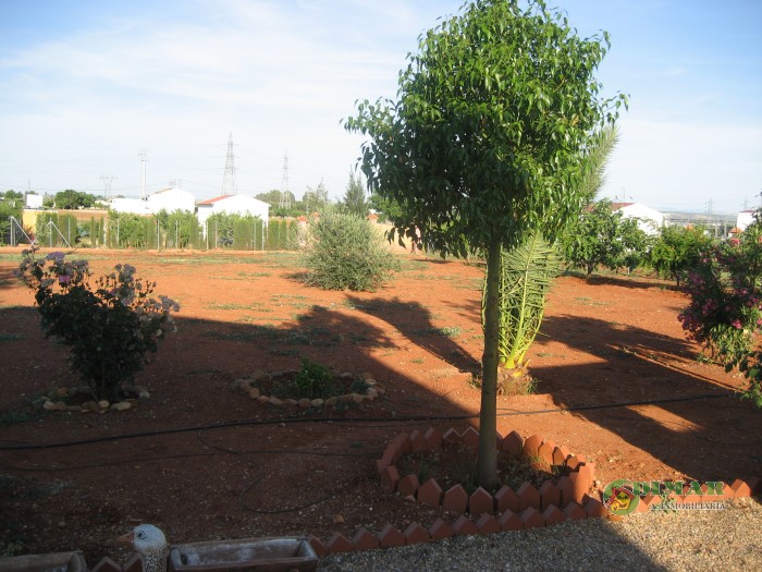 Parcela en venta en Andújar