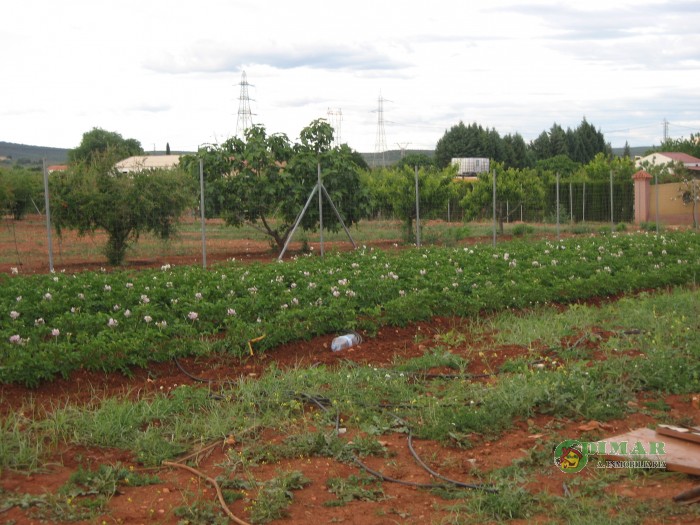 Plot for sale in Andújar