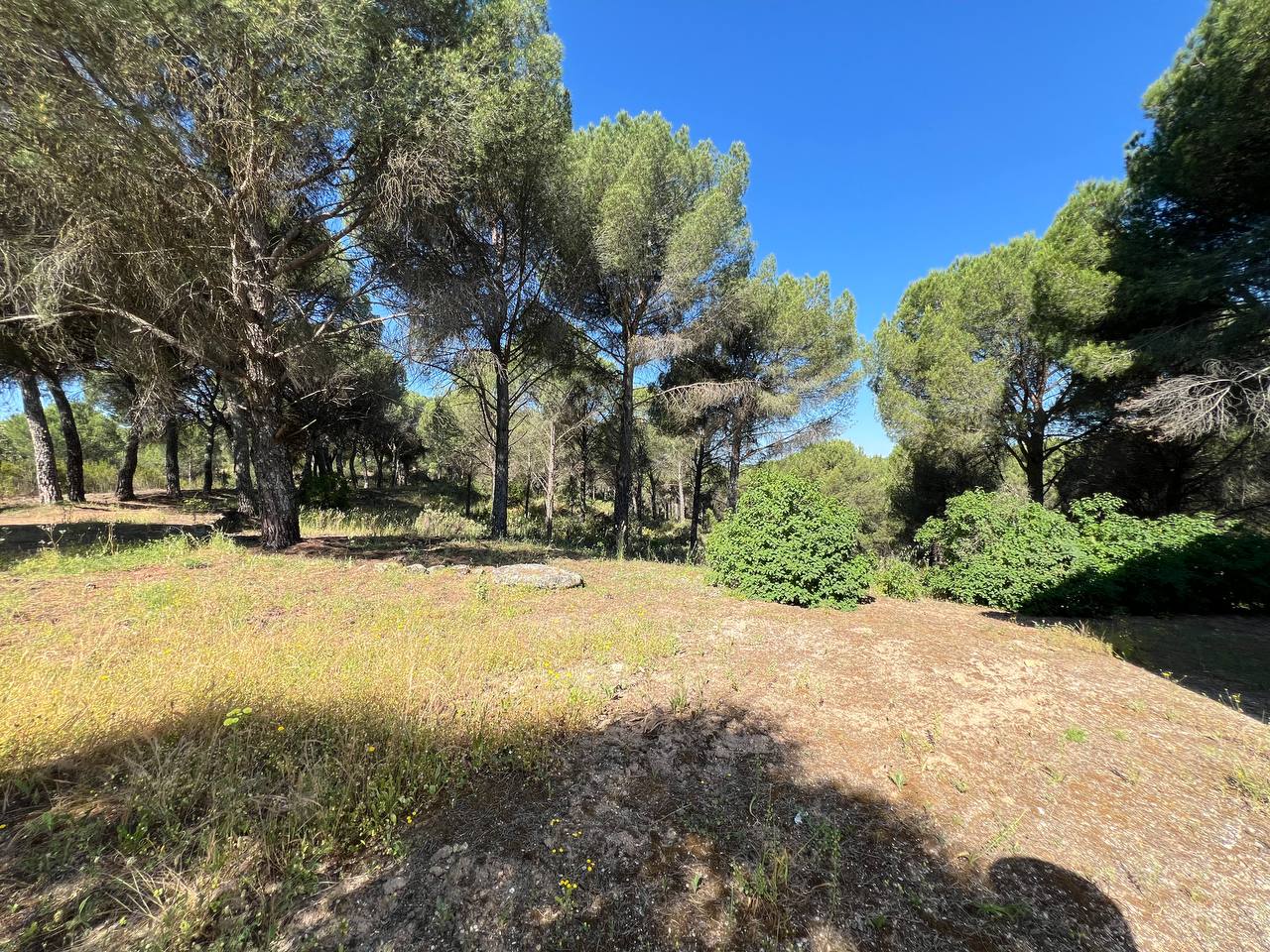 Villa for sale in Andújar