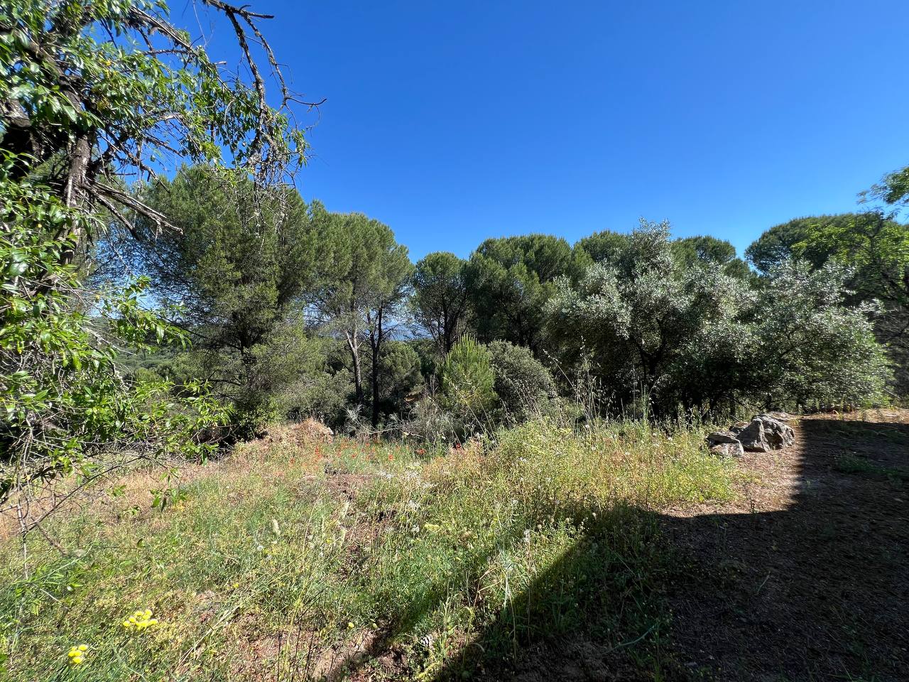 Villa for sale in Andújar