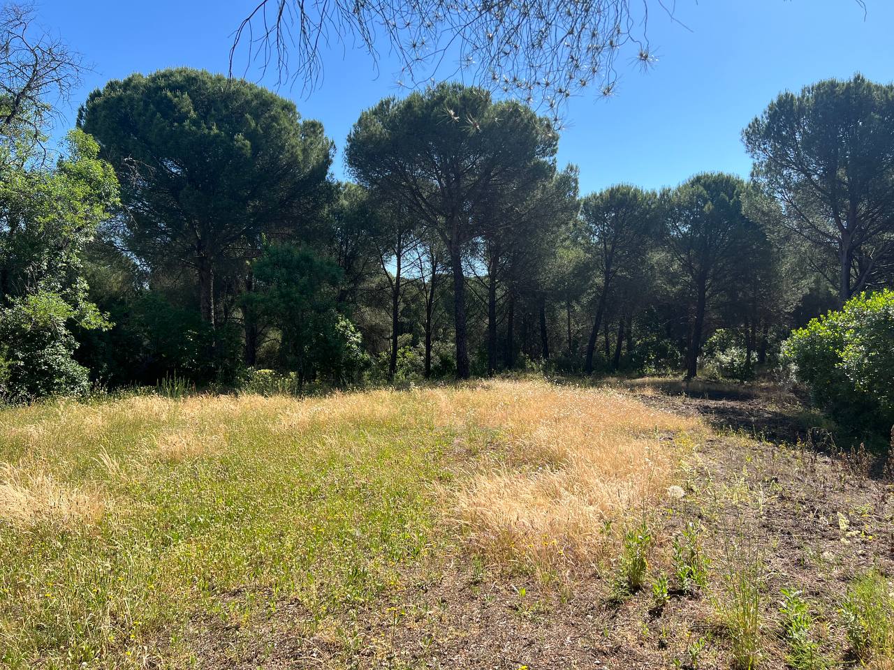 Villa for sale in Andújar