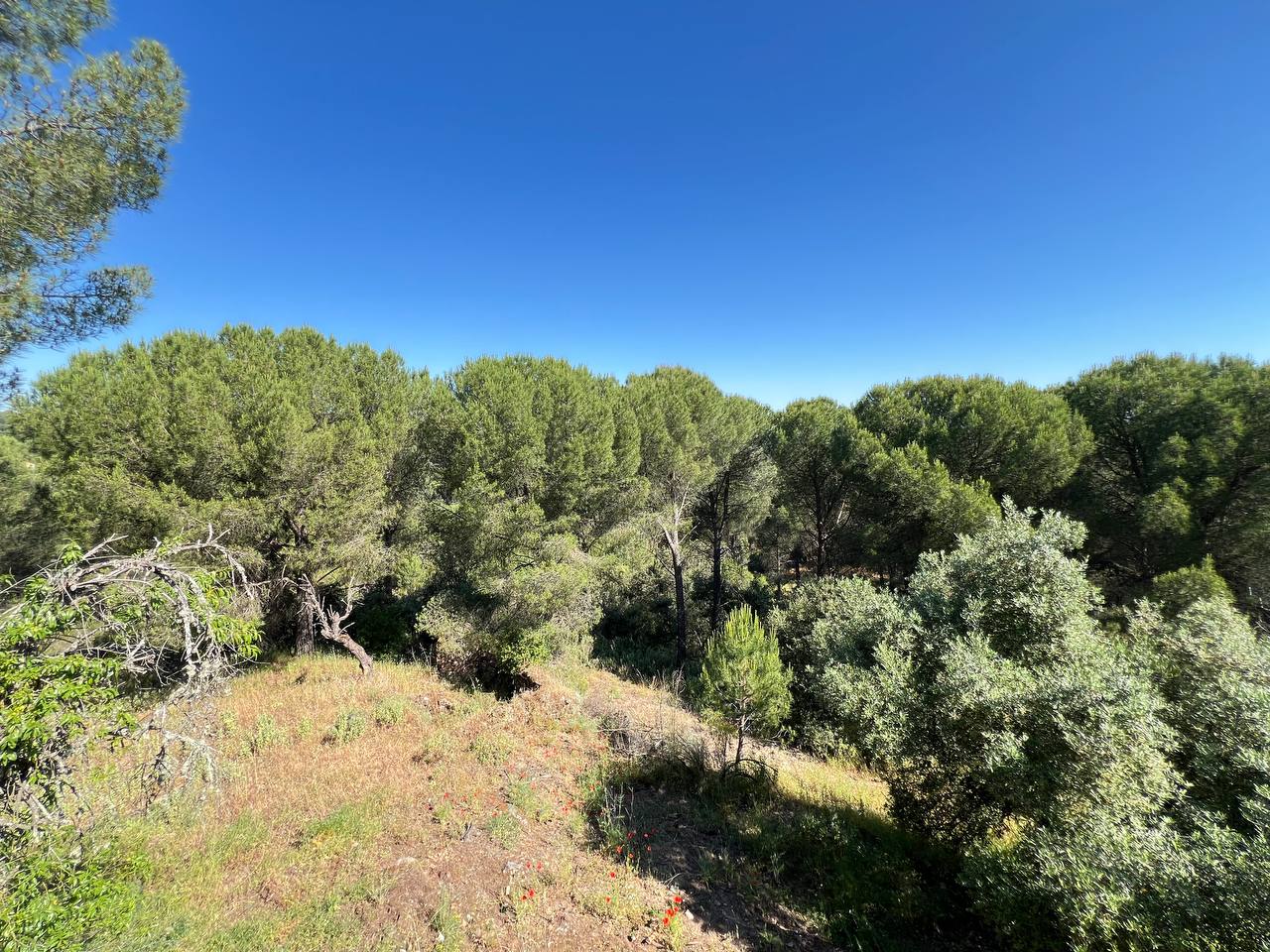 Villa for sale in Andújar