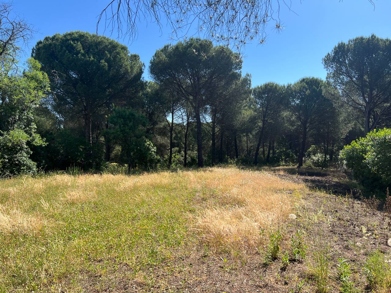 Villa for sale in Andújar
