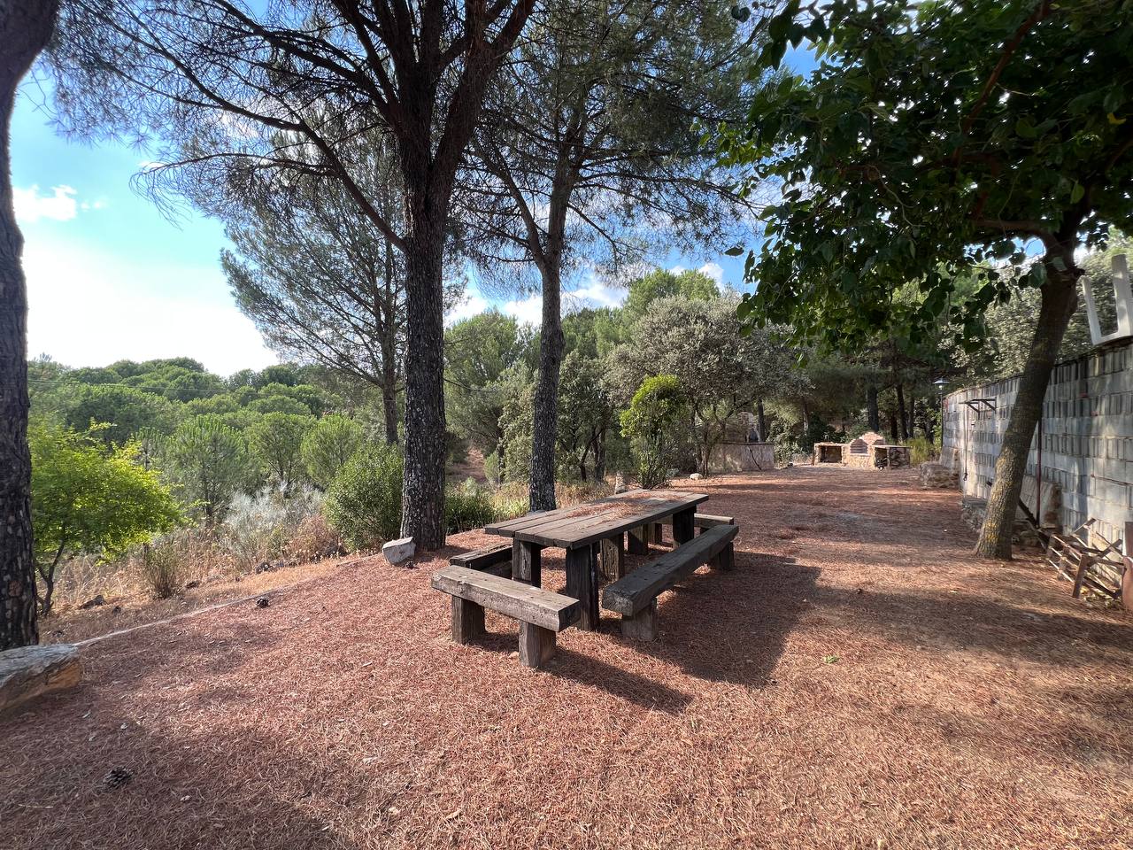 Country Property for sale in Andújar