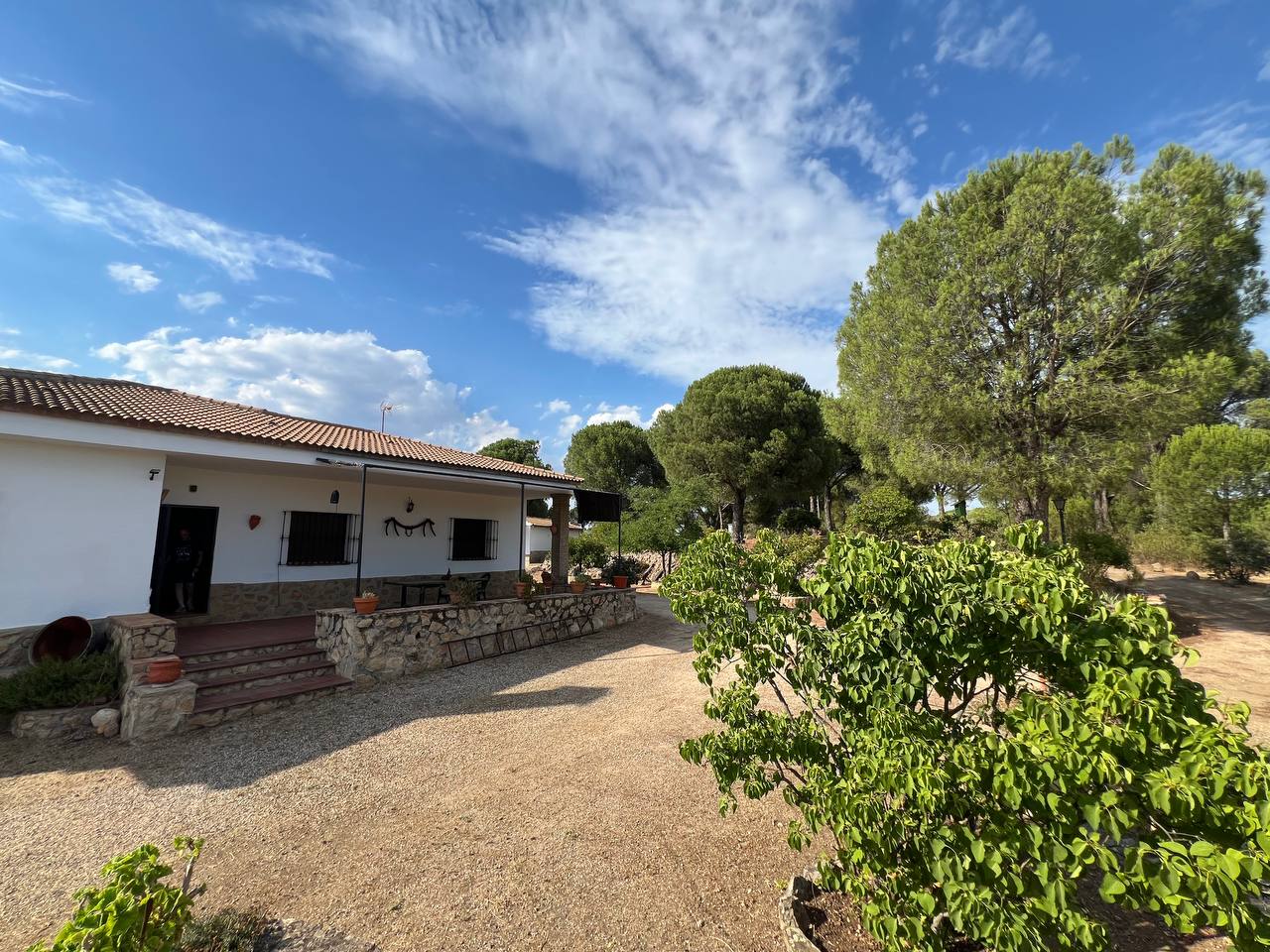 Country Property for sale in Andújar