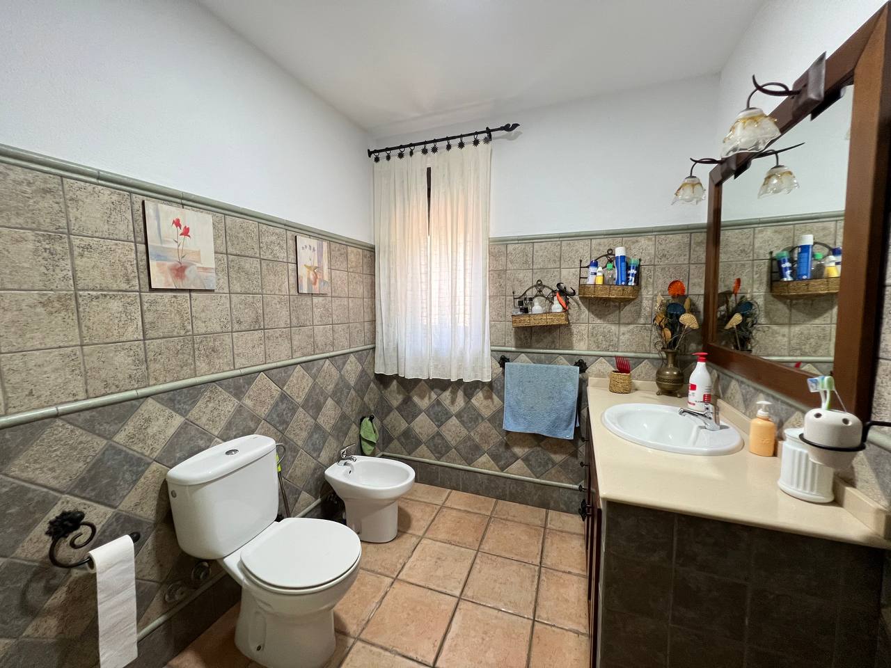 Country Property for sale in Andújar