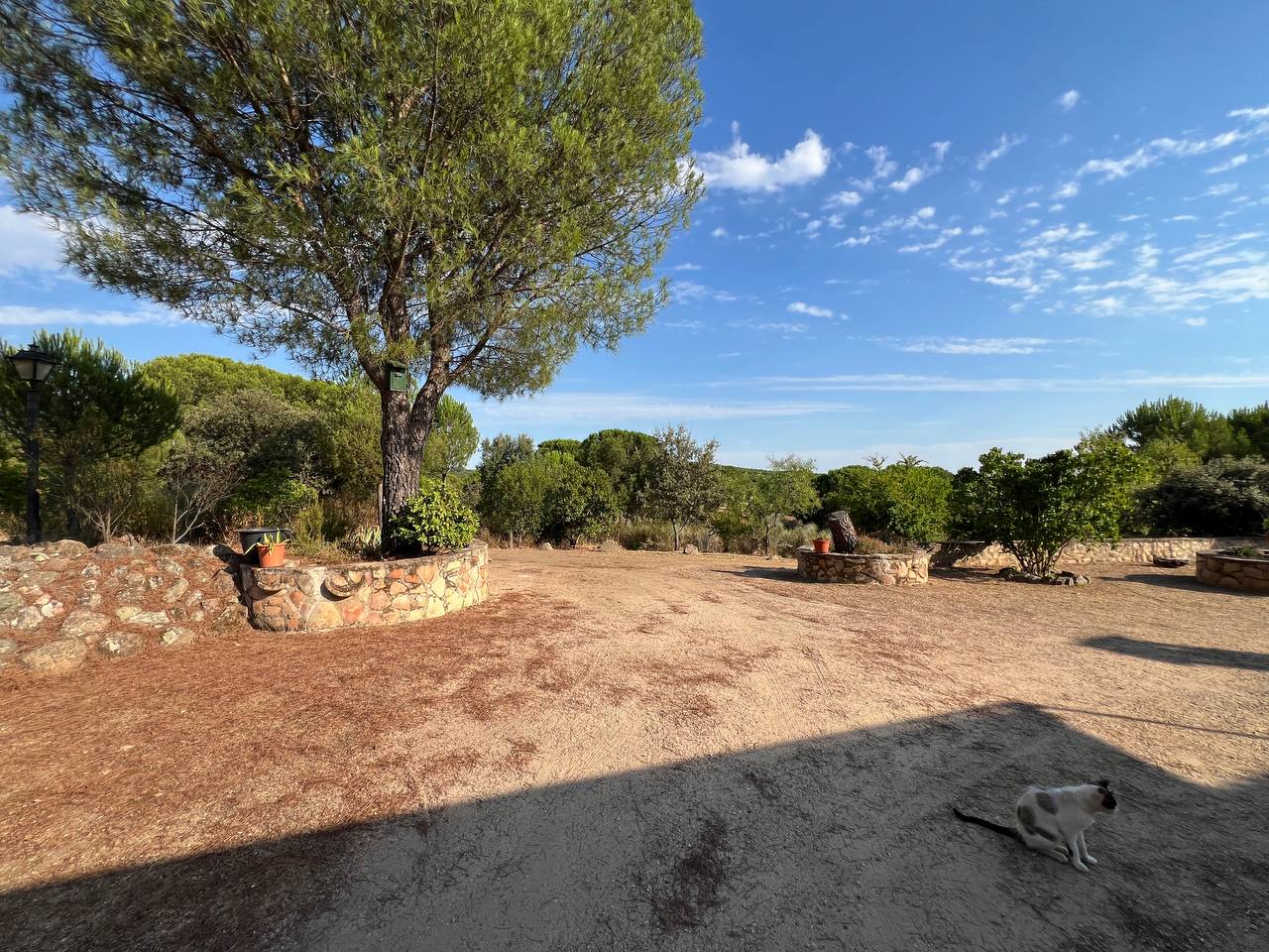 Country Property for sale in Andújar