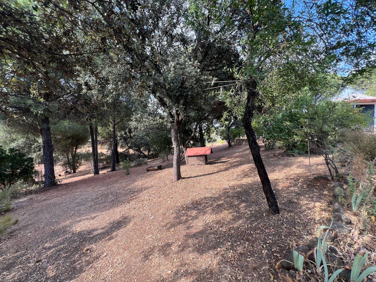 Country Property for sale in Andújar