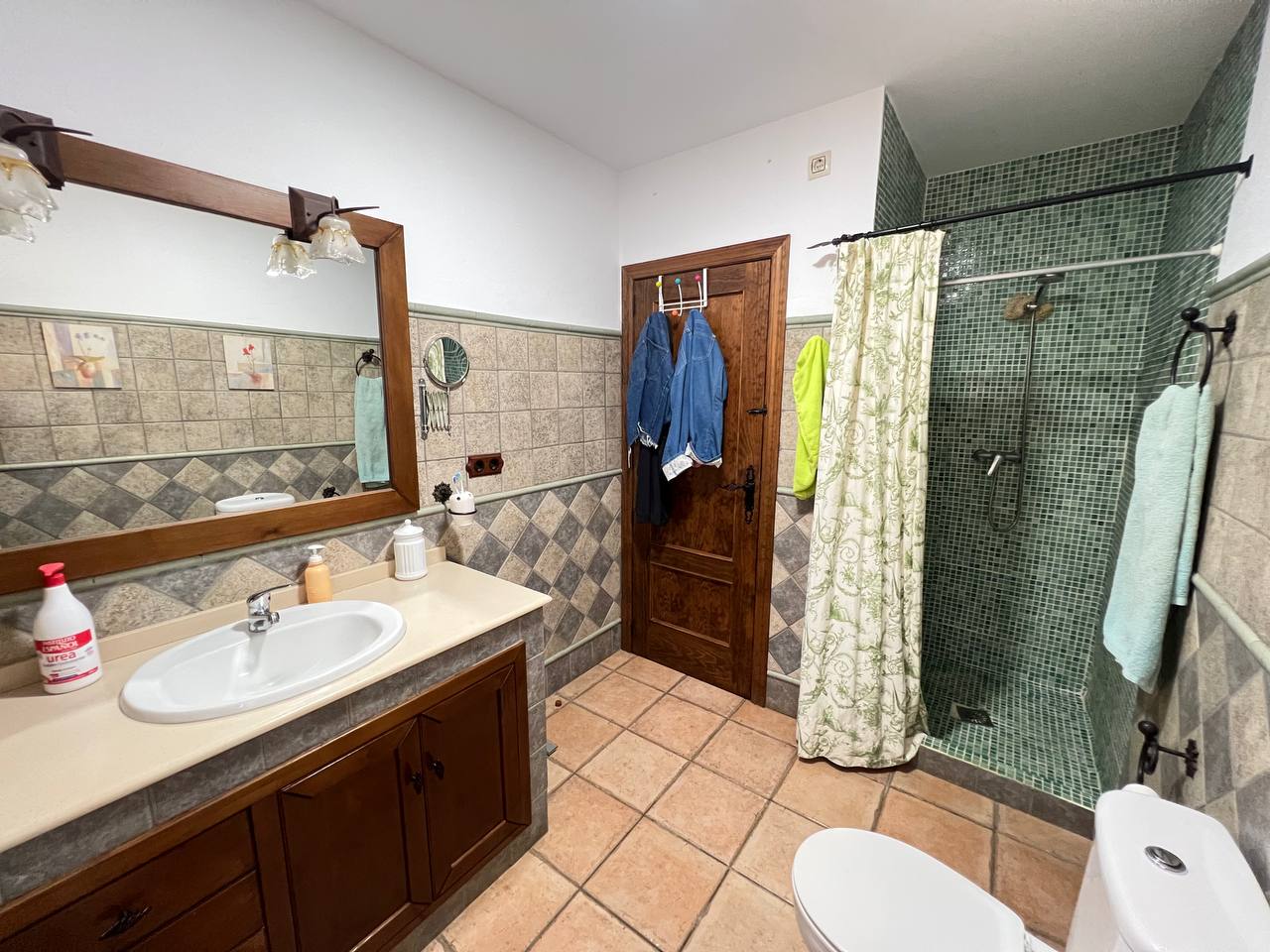 Country Property for sale in Andújar