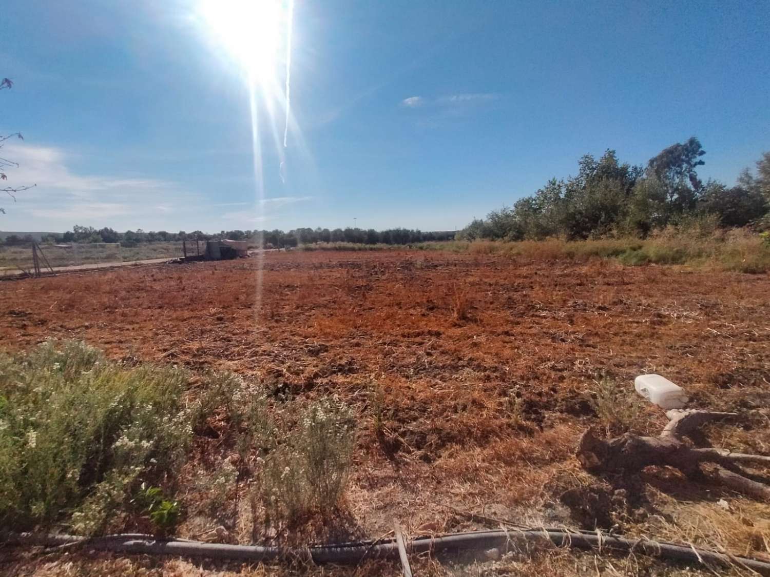Casa de campo en Marmolejo