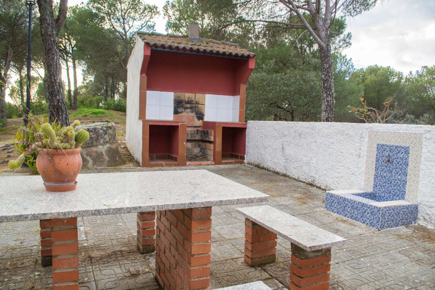 VIÑA EN VENTA EN SIERRA DE ANDÚJAR