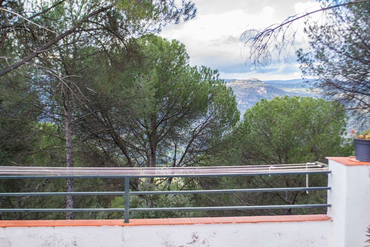 VIÑA EN VENTA EN SIERRA DE ANDÚJAR