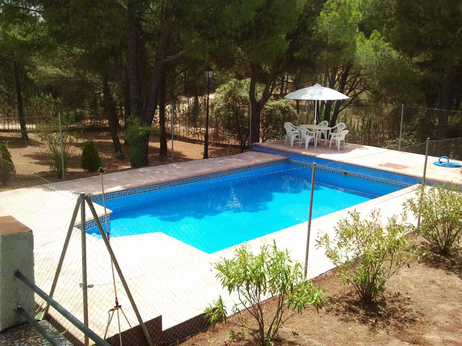 VIÑA EN VENTA EN SIERRA DE ANDÚJAR