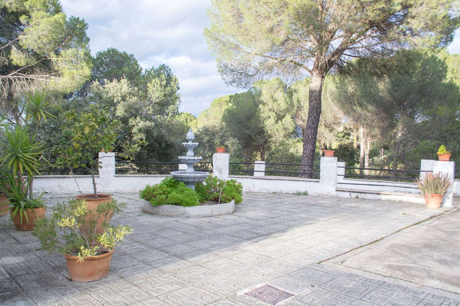 VIÑA EN VENTA EN SIERRA DE ANDÚJAR