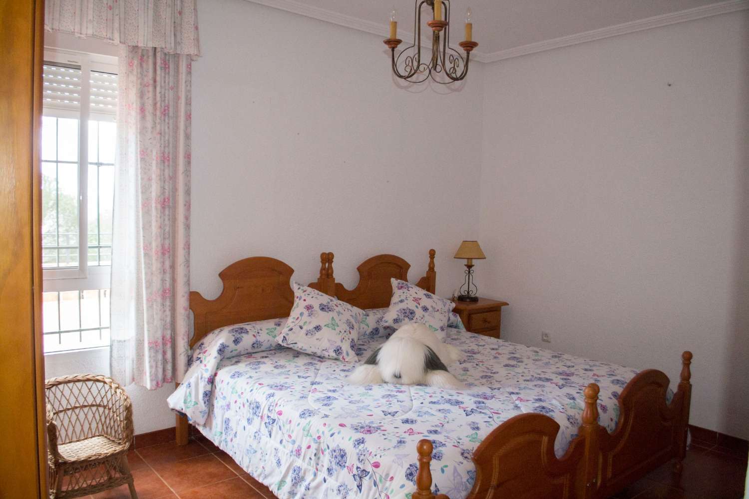 VIÑA EN VENTA EN SIERRA DE ANDÚJAR