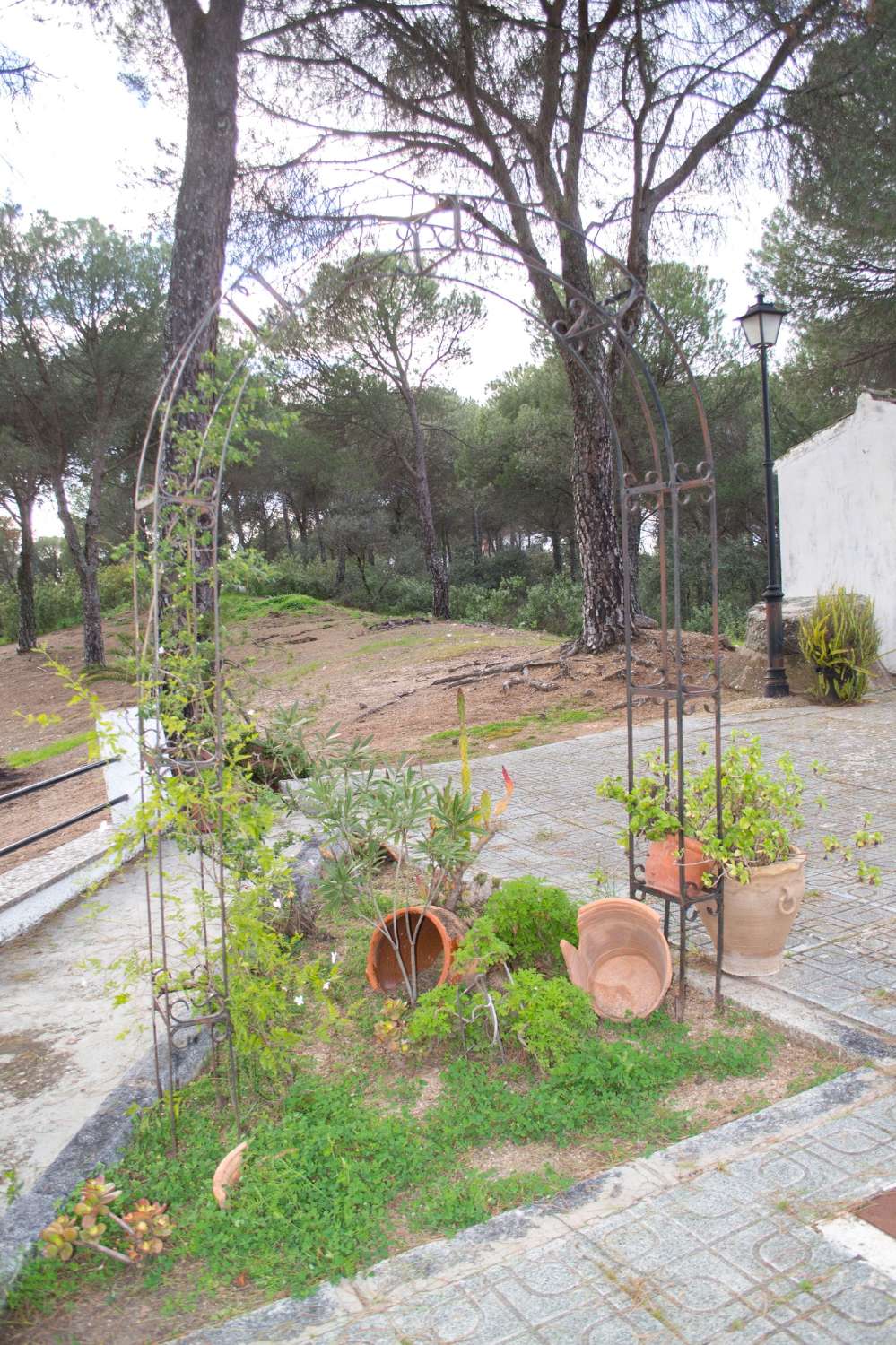 VIÑA EN VENTA EN SIERRA DE ANDÚJAR
