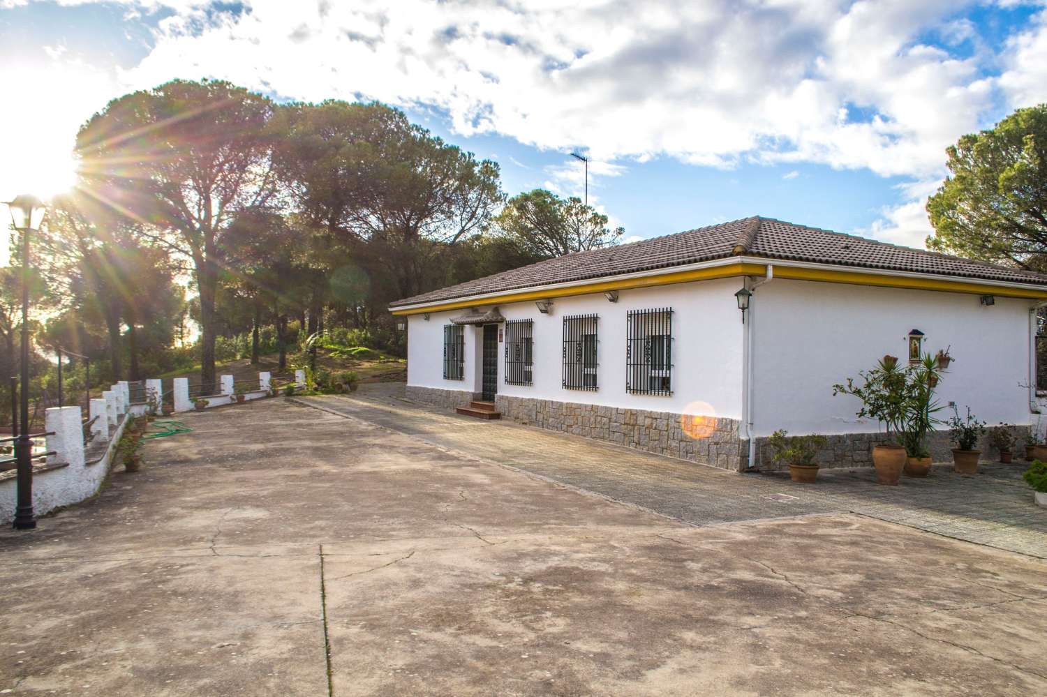 VIÑA EN VENTA EN SIERRA DE ANDÚJAR