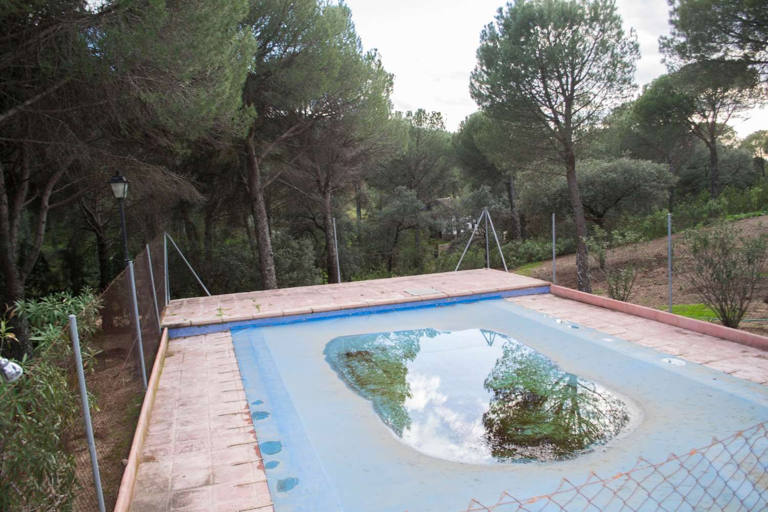 VIÑA EN VENTA EN SIERRA DE ANDÚJAR