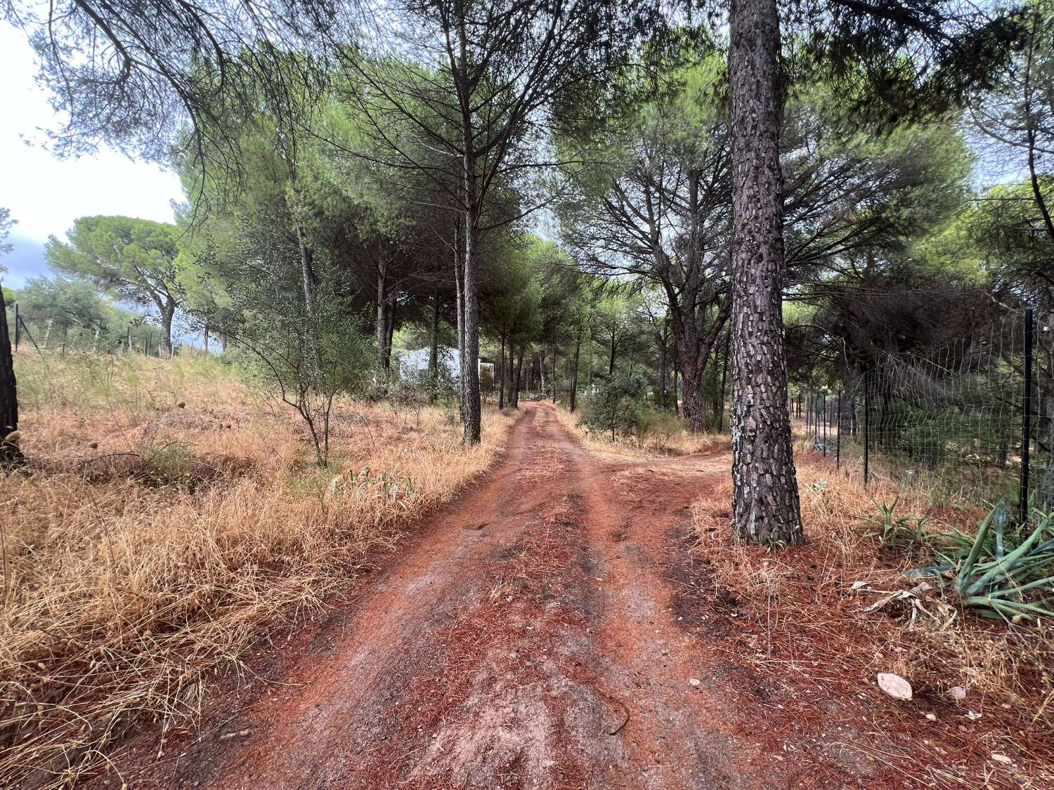 Villa en venta en Andújar