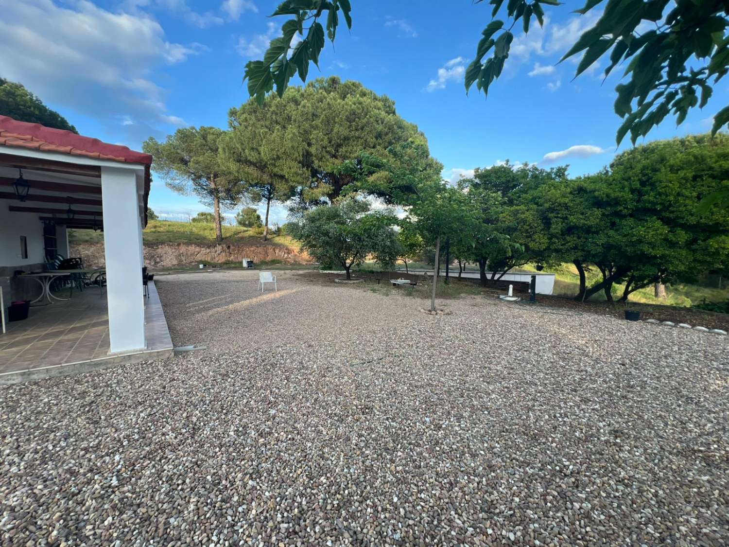 Viña en venta en Andújar