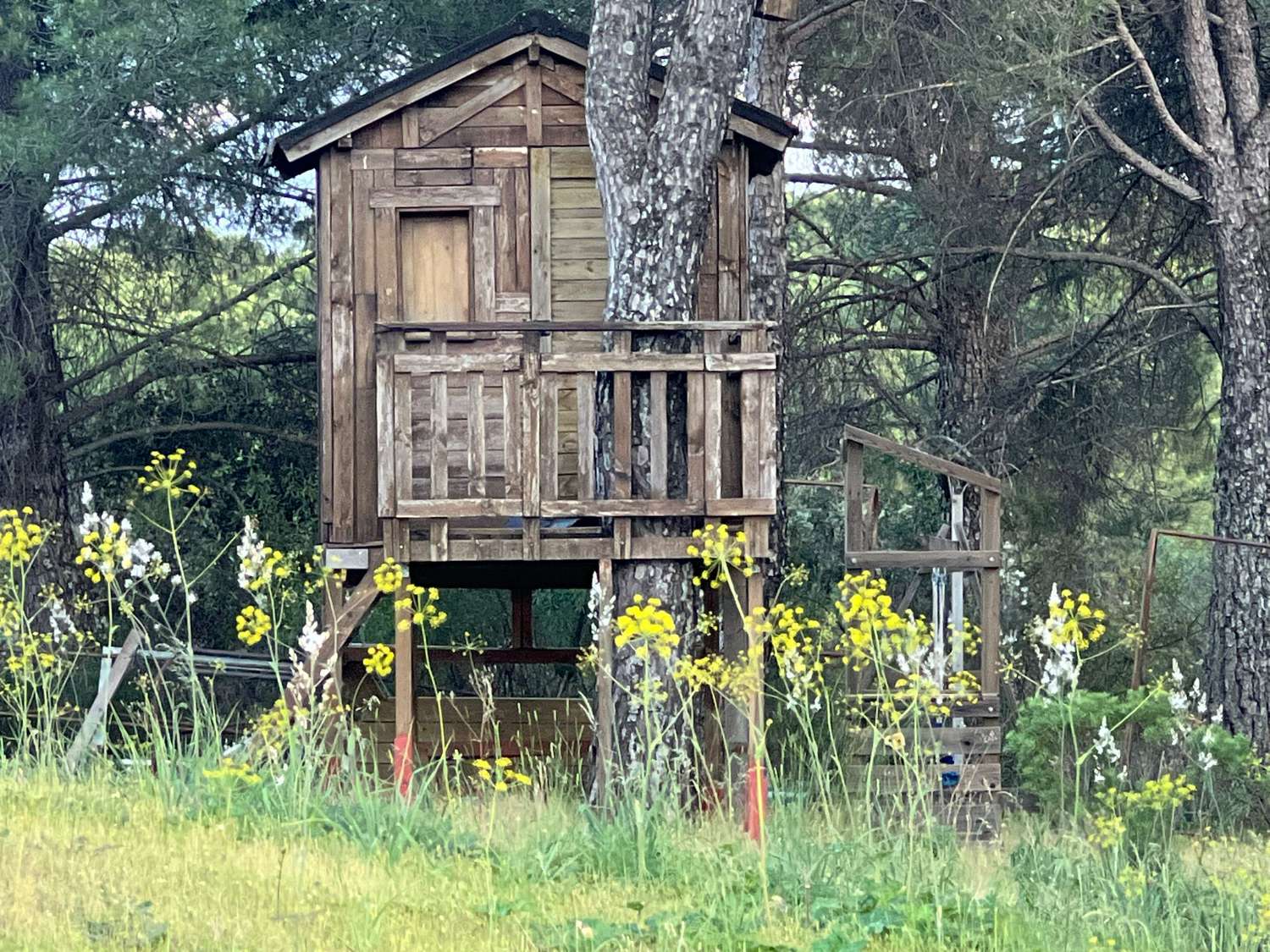 Viña en venta en Andújar