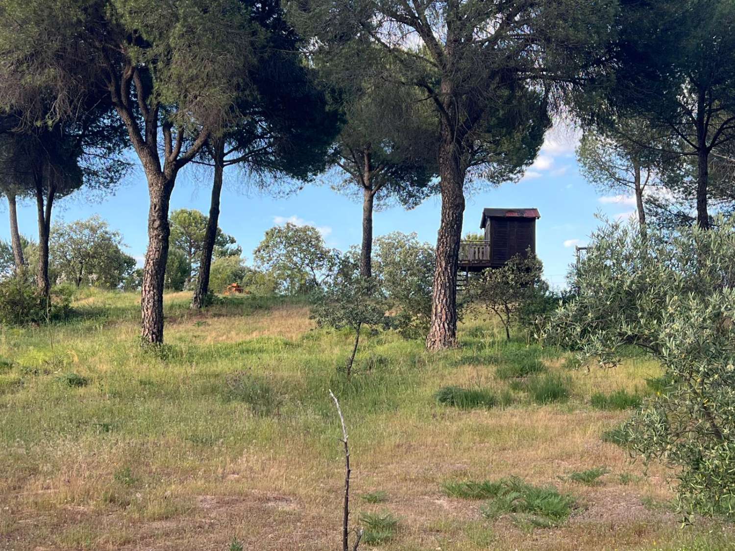 Viña en venta en Andújar